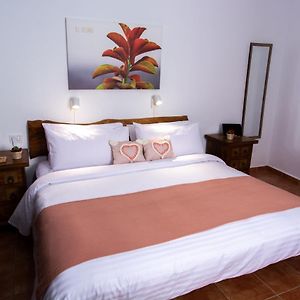 Habitación con 2 Camas Individuales